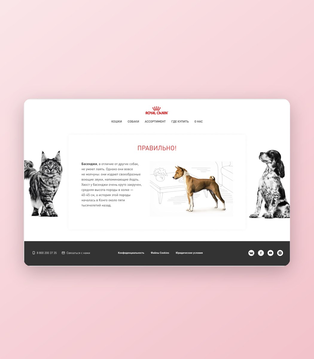 Case study visual